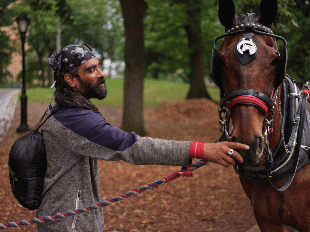 vibrant photography of man with a horse
