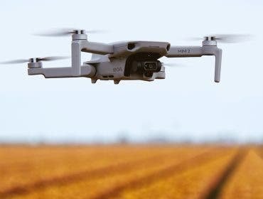dji mini 2 drone flying over tulips