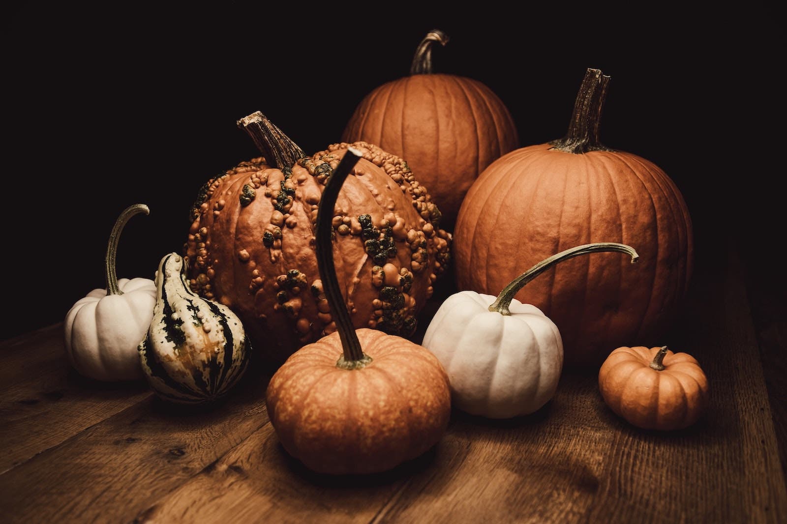 halloween photography props using pumpkins