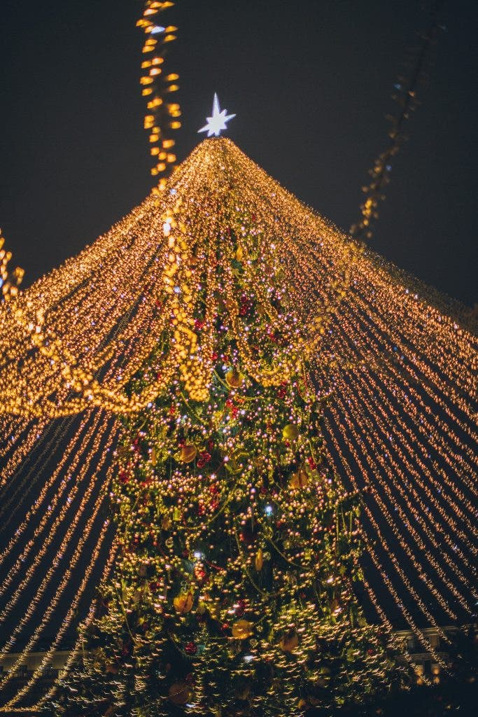 Large Christmas tree