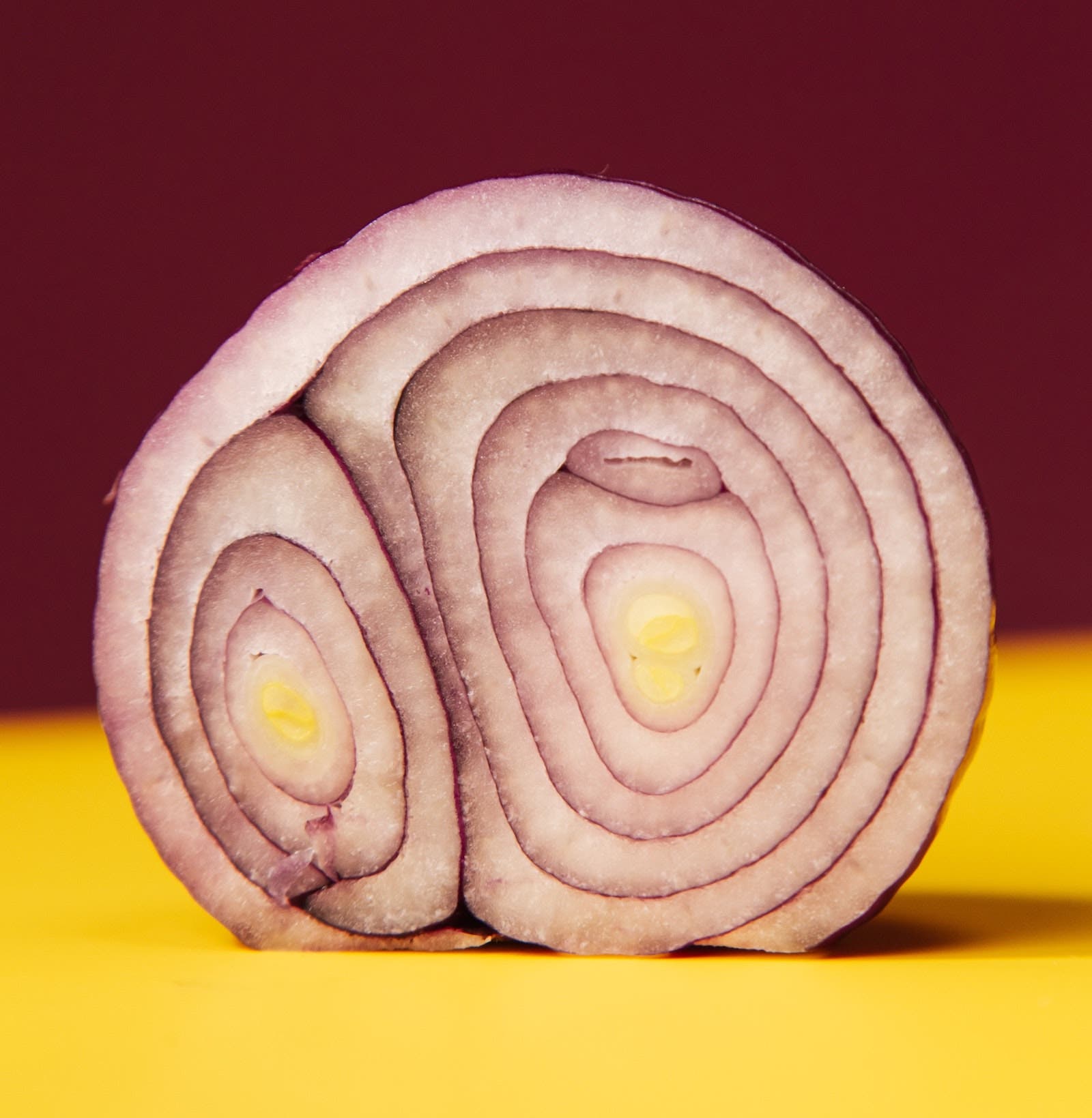 organic shapes in veggie