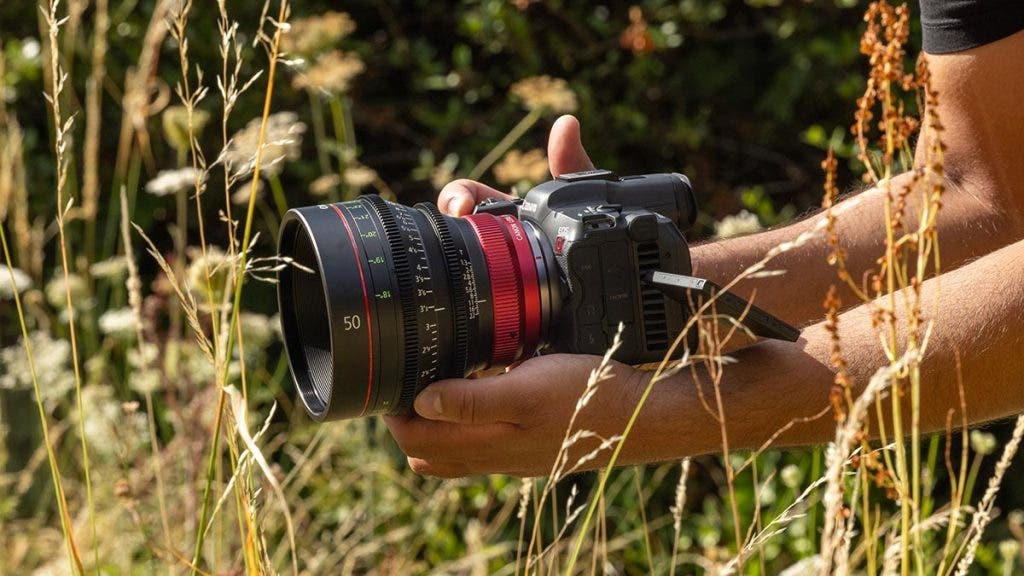 canon rf prime cinema lens on camera