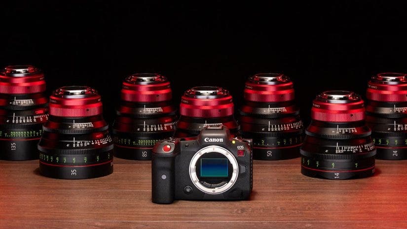Canon RF prime cinema lenses lineup
