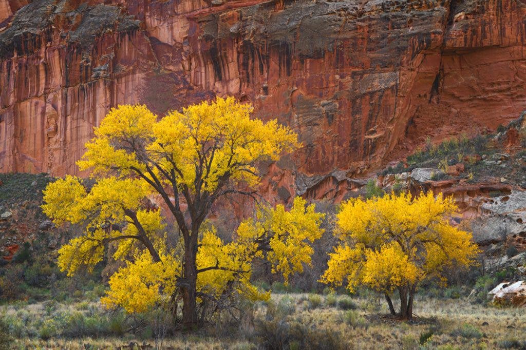Too much color in the first image doesn’t look realistic, giving my image an over-edited look.
