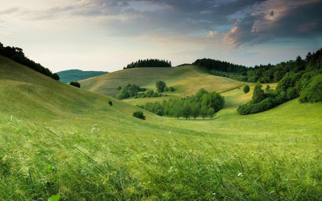 A beautiful landscape in landscape orientation