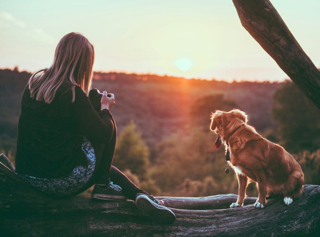 animal photographer beside dog