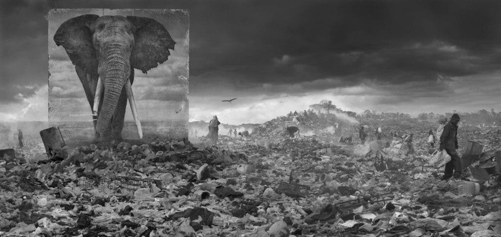 Inherit the Dust Series photo by Nick Brandt