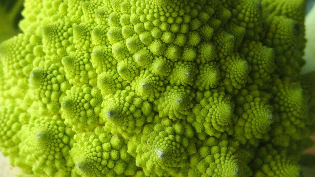 Close up of broccoli