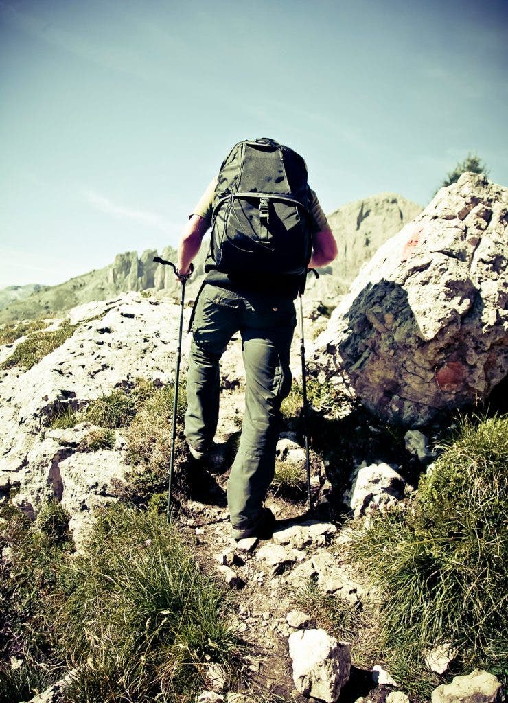 Summer hiker climbing with poles