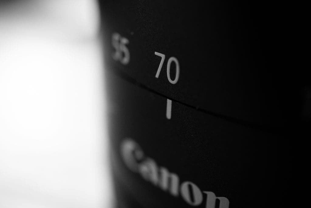 one of the best lenses for wildlife photography