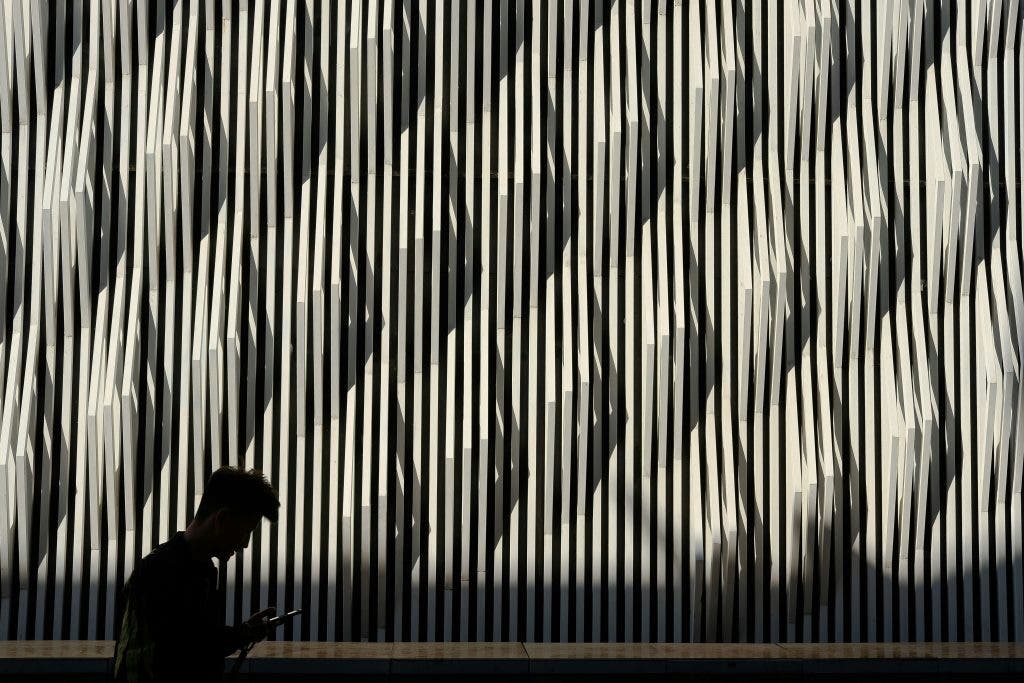 contrasting texture as technique for emphasis in photography