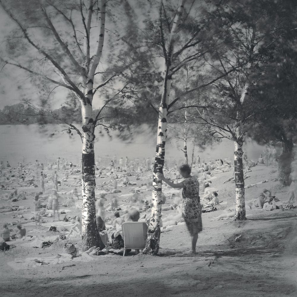 Black and white photography style photo shows couple conversing between trees