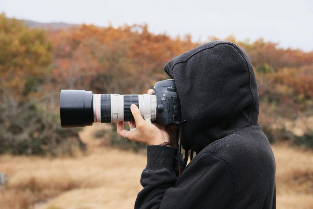 Photographer uses a zoom lens for wildlife photography