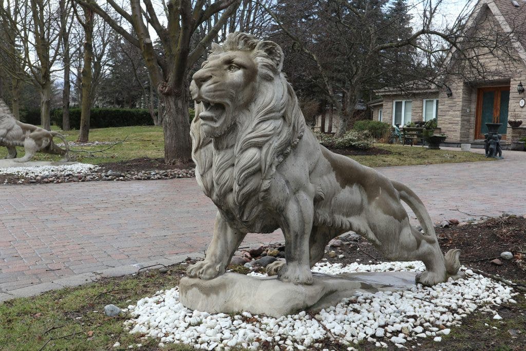 Realistic sculpture of a lion