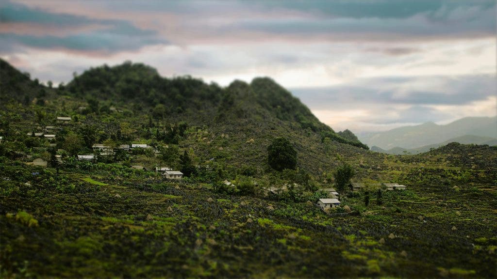 tilt shift example