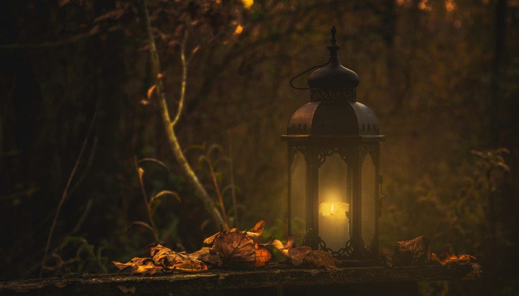 A photo of a lamp in the middle of autumn leaves photography