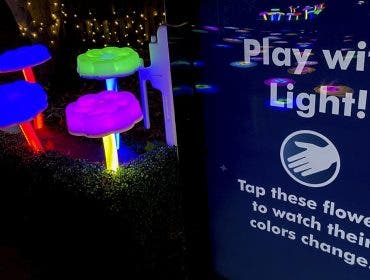 Holiday Lights 2024 at the Bronx Zoo
