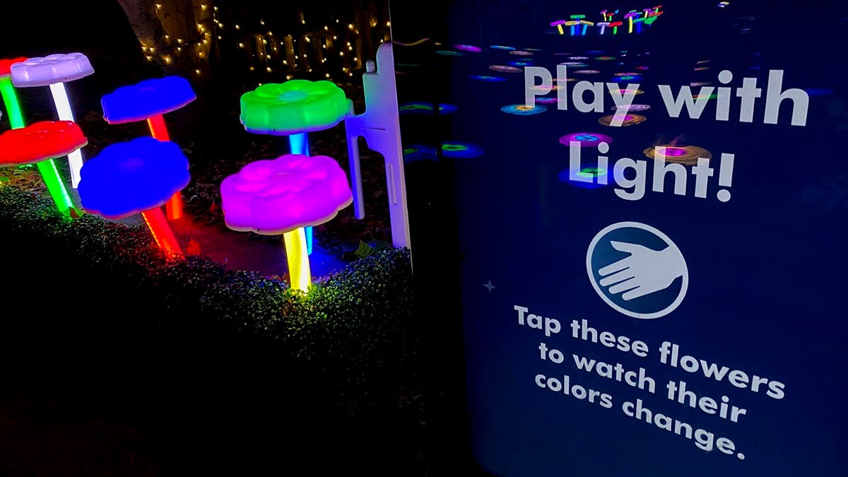 Holiday Lights 2024 at the Bronx Zoo