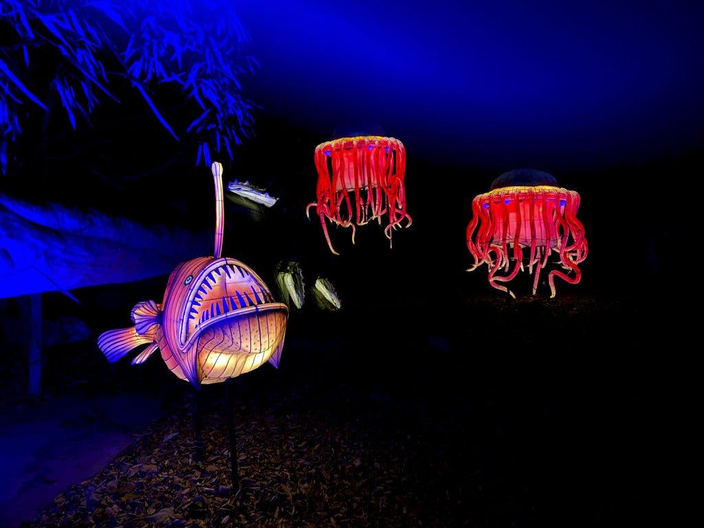 Weird fish at Holiday Lights 2024 at the Bronx Zoo