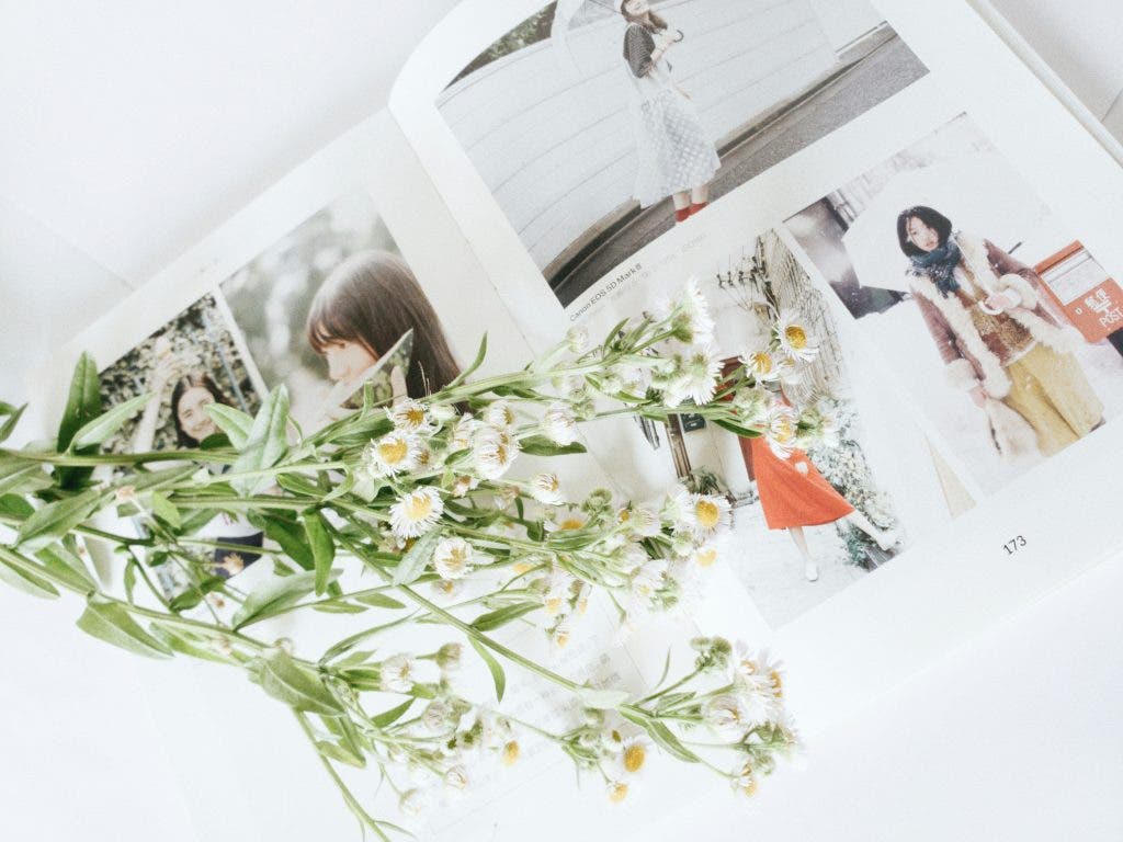 a green and nature themed photo album
