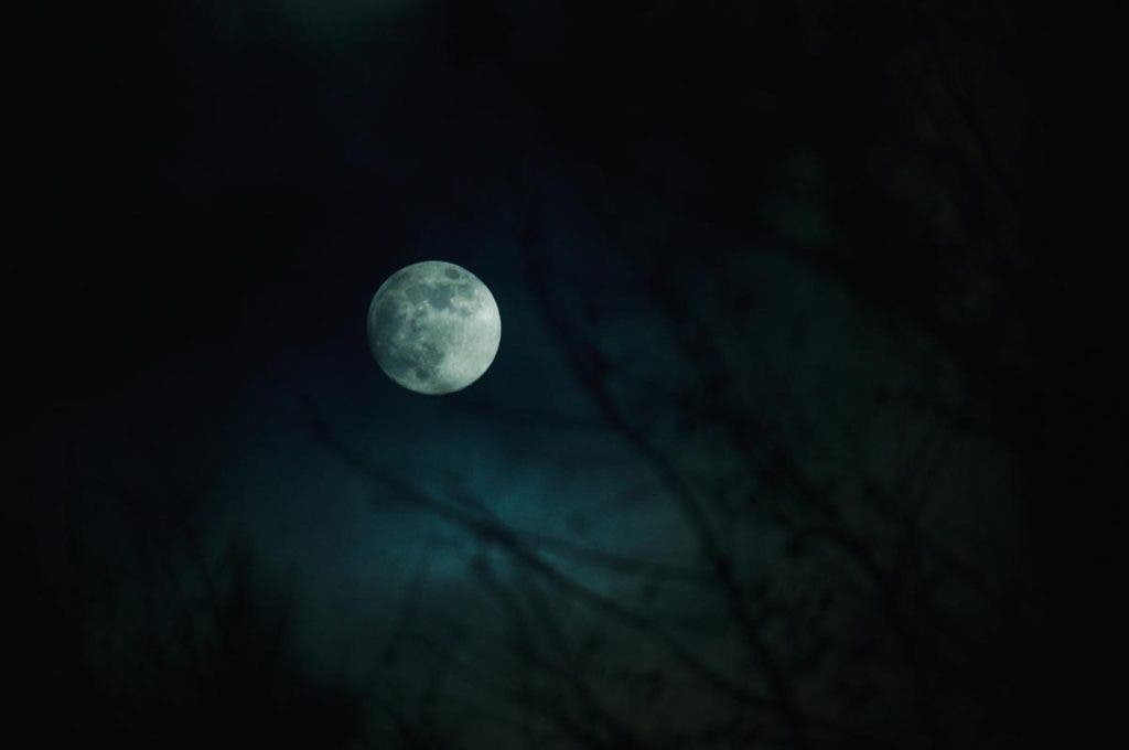 Photo by Mina Daimon moon shot with Sigma 16-300mm f3.5-6.7 DC OS