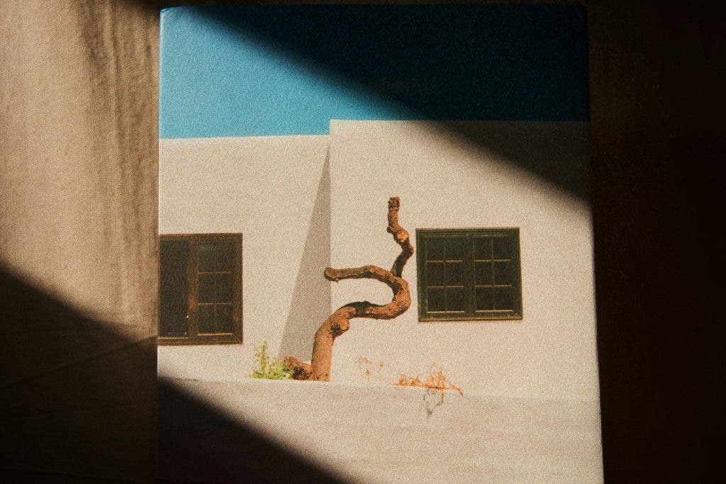 an example of striking photography through natural light