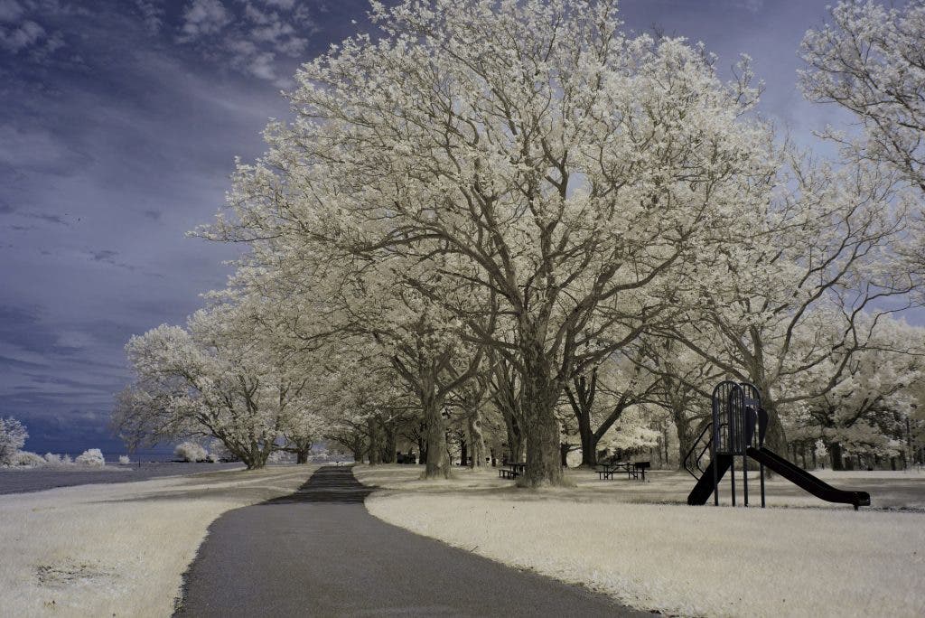 the infrared photography type example