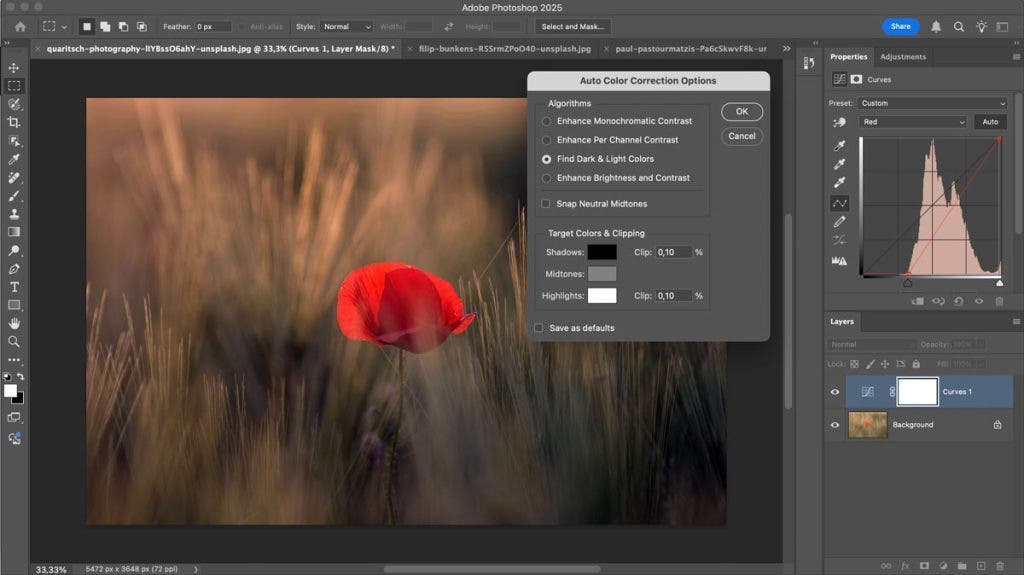 image of a flower auto curves