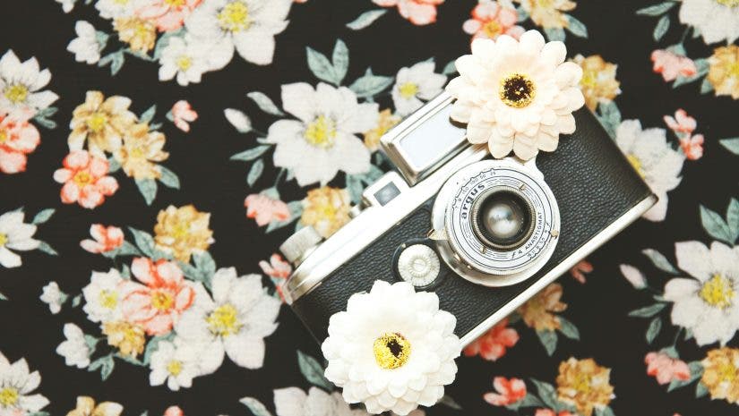 equipment of floral photographers, a camera and flower props