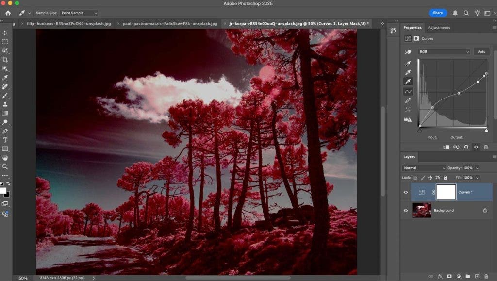 Surreal Landscape image - adjusting curves