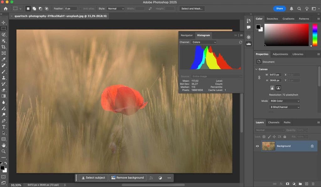 Image of a flower showing the histogram