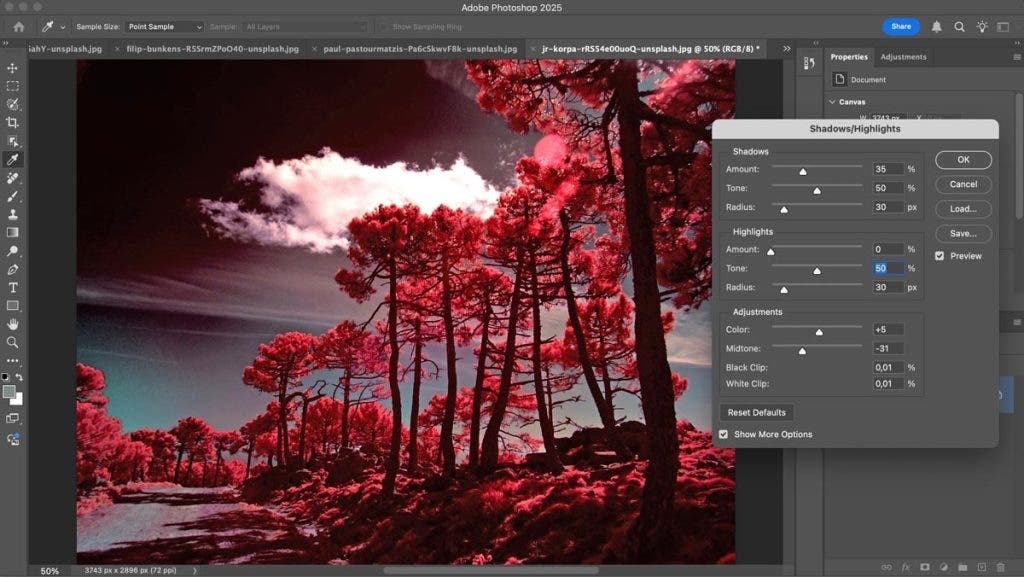 Surreal Landscape image - showing highlights