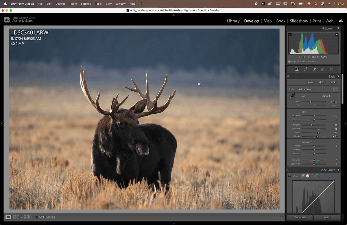The Masking tab can be found within the Develop Module on the right-hand side of the screen.