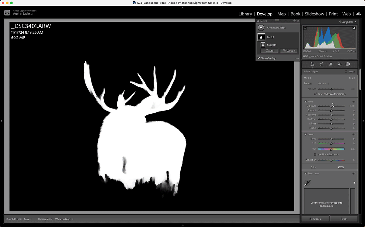 Options for masking