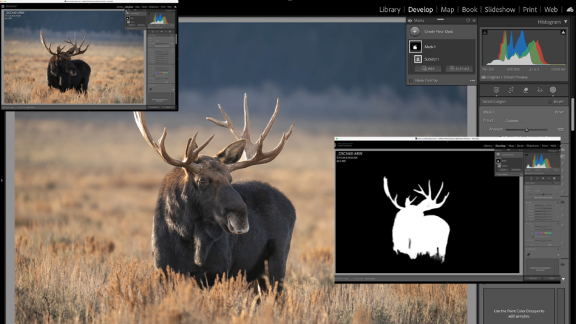 Lightroom Classic Masking Feature