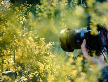 a camera taking macro shots of a plant