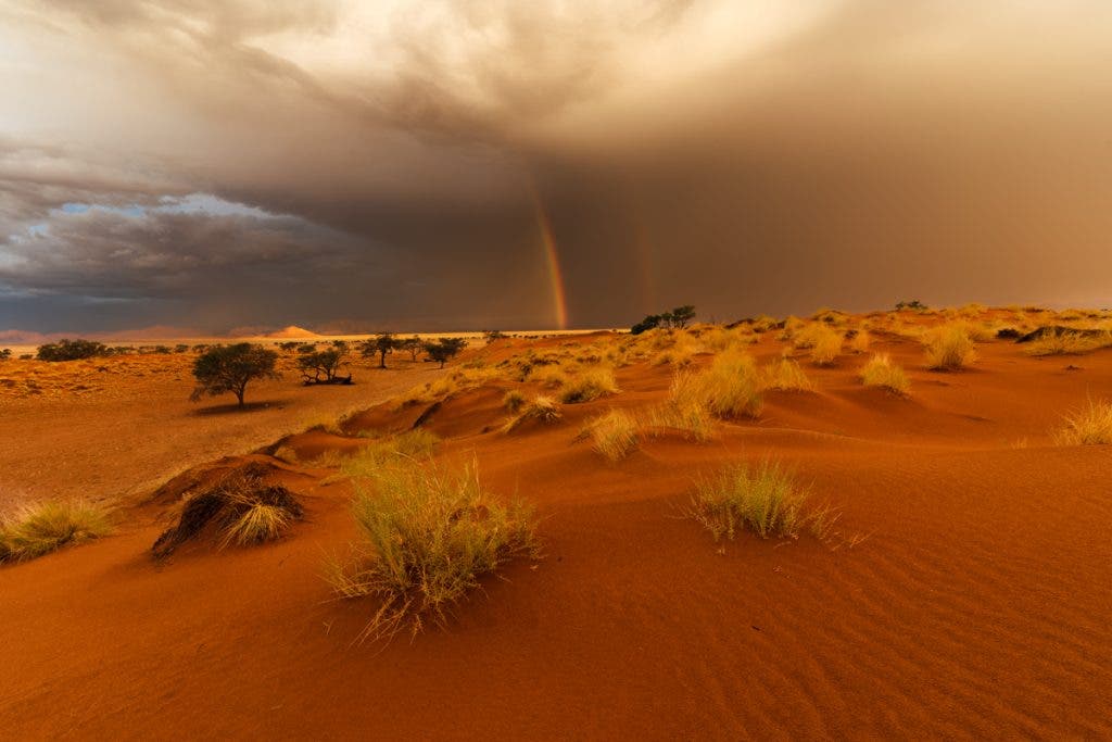 Rainbow in the Desert - Photo by Muji