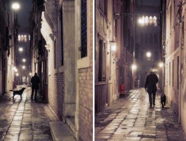 Man and His Dog - Venice