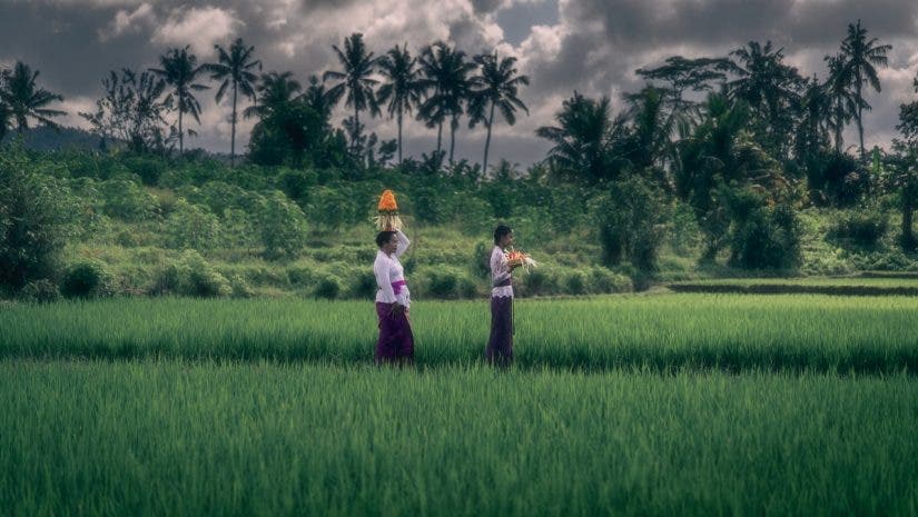 local people walking along a field