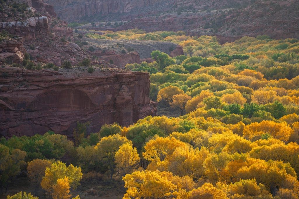 Overlooking the Escalante River.