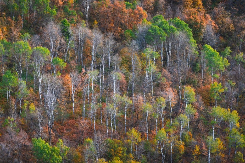 The many hues of the Wasatch Mountains, located just outside of Salt Lake City.