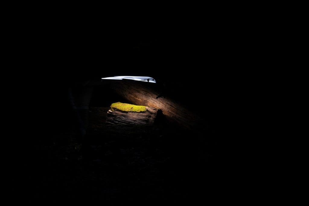 Image taken during Matt Stock's residency at the Great Smoky Mountains National Park.