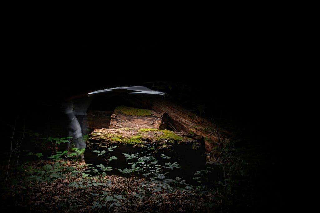 Image taken during Matt Stock's residency at the Great Smoky Mountains National Park.