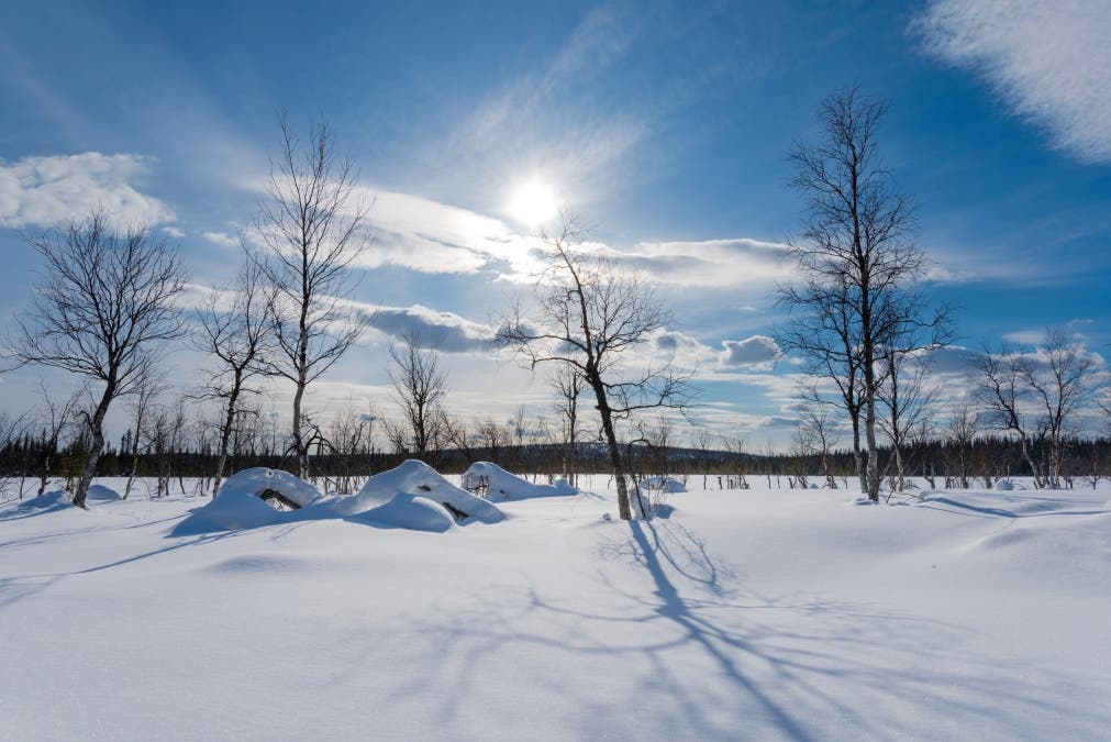 Stark Shadows, Bright Snow: Arctic Winter's Day Unveiled