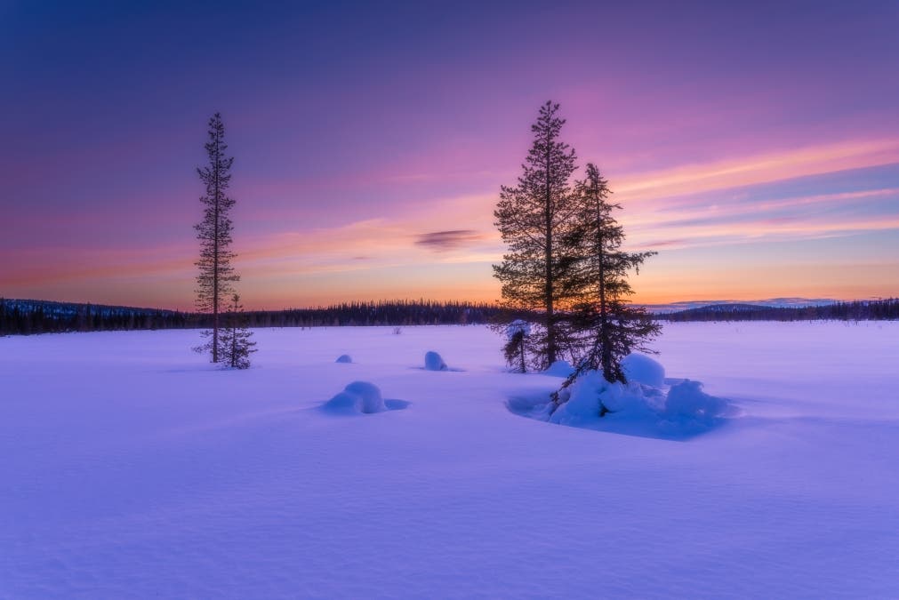 Twilight's Gentle Touch: A Winter's Dream