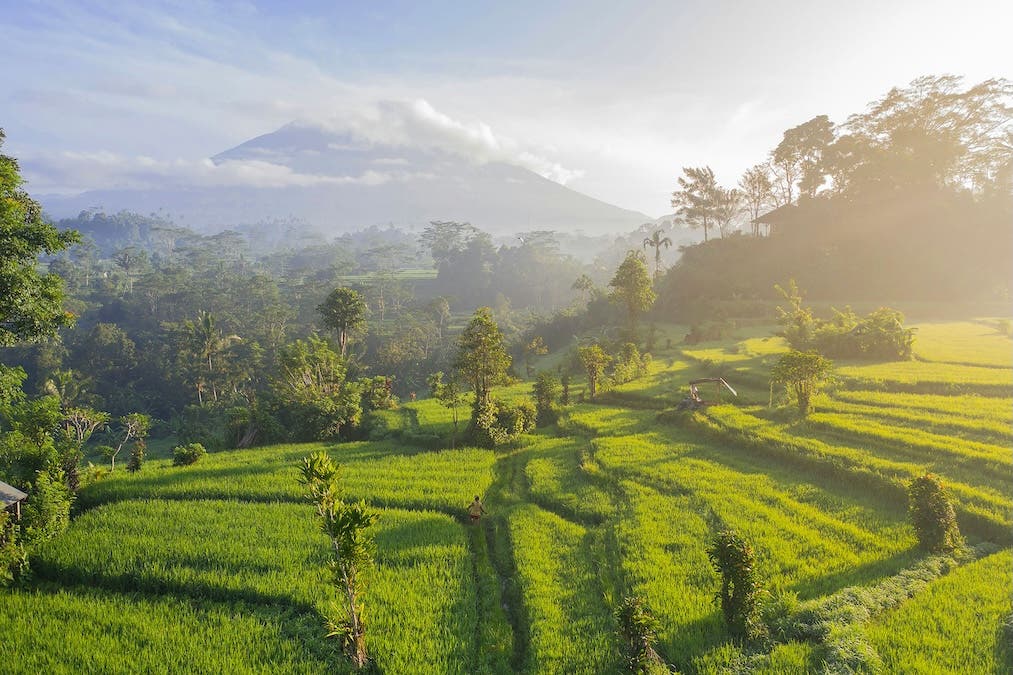 Photo by Geio Tischler on Unsplash