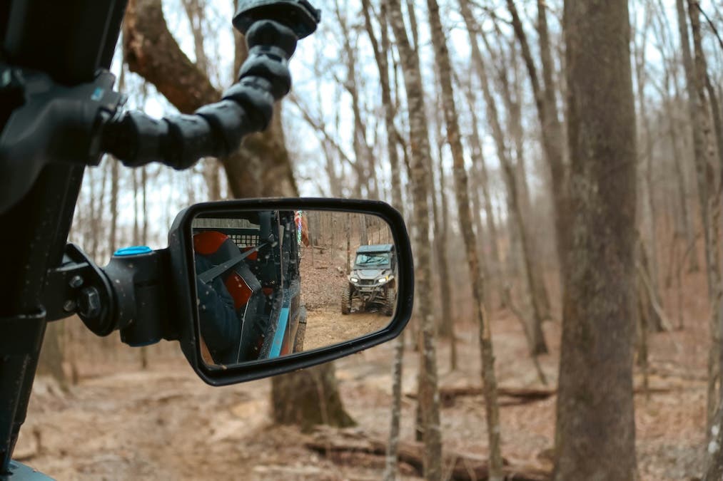 a car side view mirror in the forest