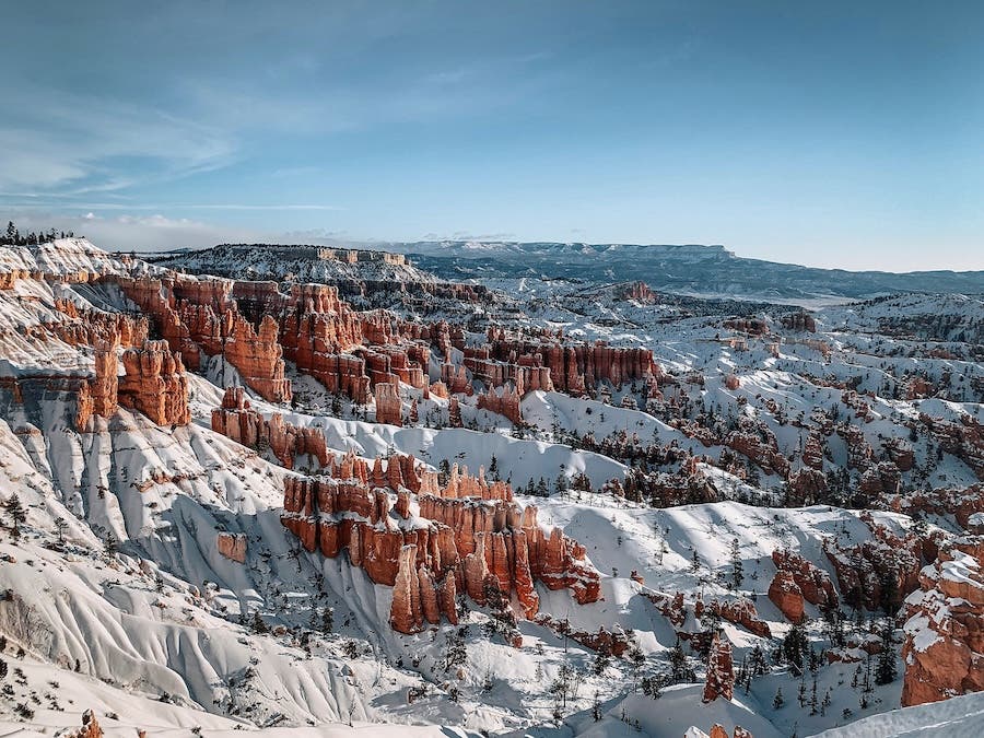 Photo by Sean Lee on Unsplash