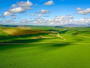 drone photography over fields