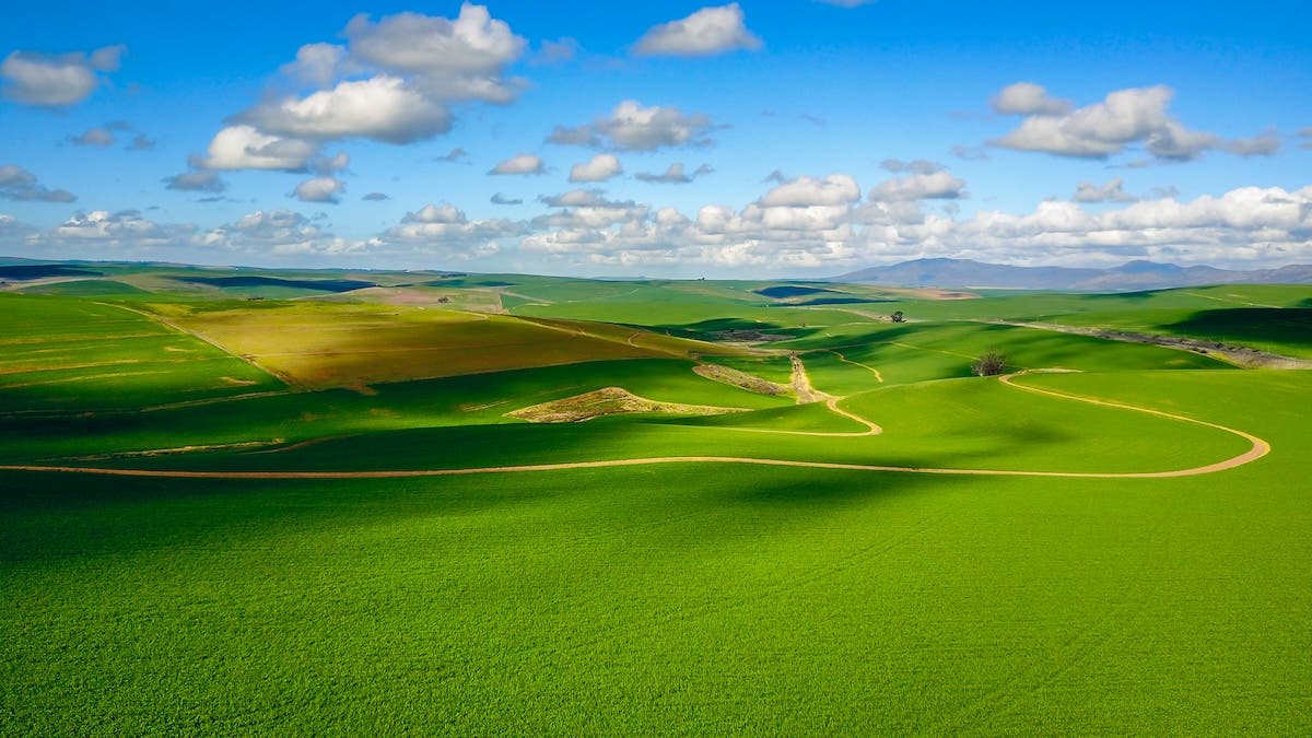 drone photography over fields